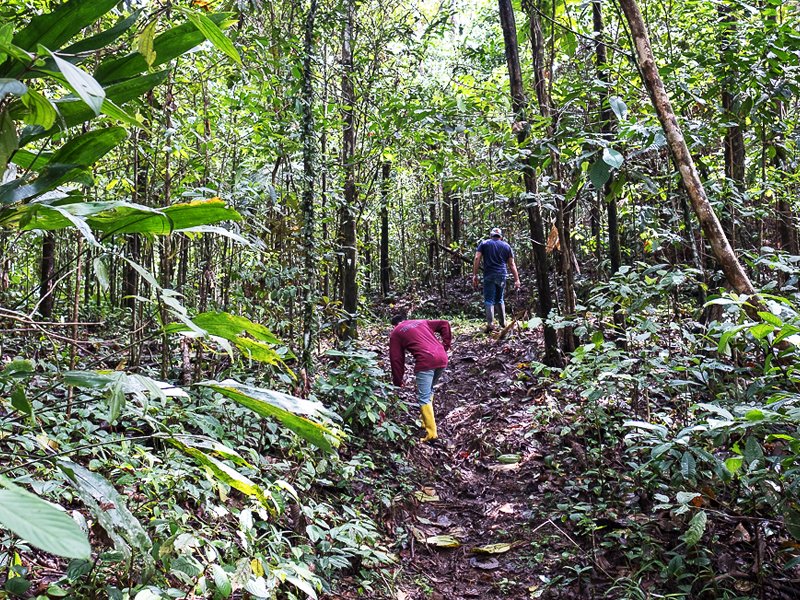 Recorrido por senderos